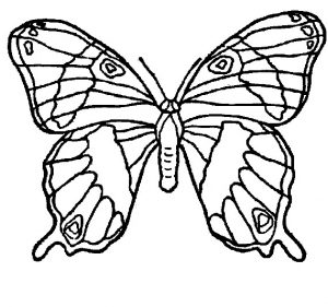 Free–printable-animals-butterfly-coloring-pages-for-kids