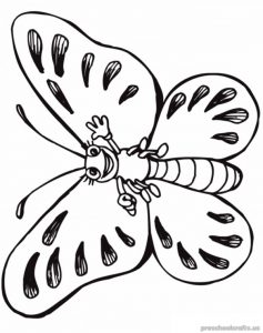 Free–printable-butterfly-coloring-pages-for-kids