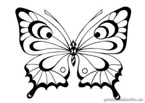 butterfly-coloring pages-for-kids