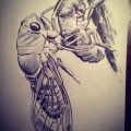 cicada-art activities