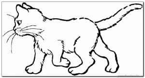 kitten coloring-pages