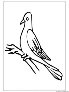 swallow coloring pages for child