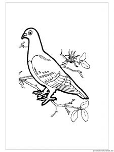 swallow coloring pages for kid