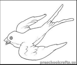 swallow coloring pages for kids