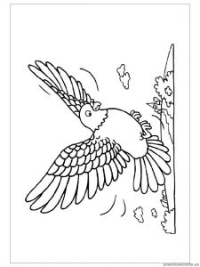 swallow coloring pages for kindergarten