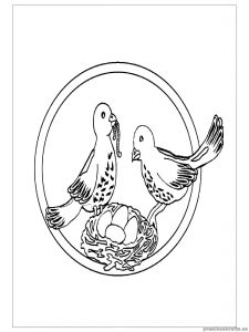 swallow coloring pages for preschoolers