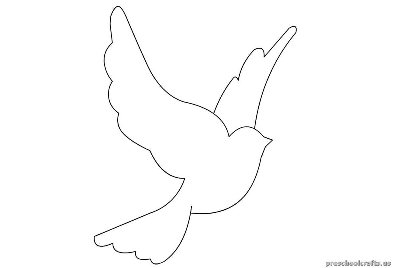 swallow printable coloring pages for kindergarten