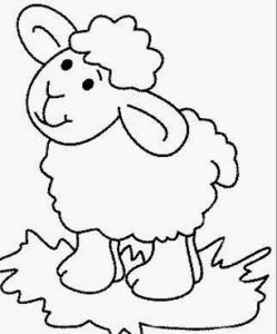 sheep-coloring-pages-for-preschool-coloring-page-for-kids