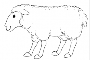 sheep-coloring-pages-for-preschool-free-printable-coloring-pages