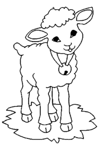 sheep-colouring-pages-for-preschool-free-printable-coloring