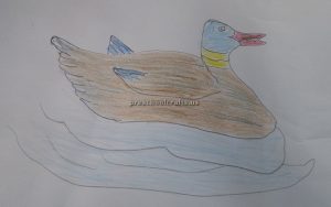 Duck pictures craft ideas for preschool and kindergarten