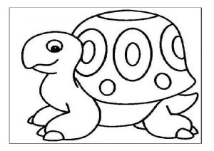 Tortoise coloring pages for preschool - Turtle coloring pages for kindergarten