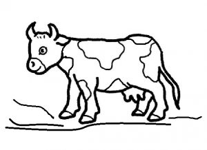 cow coloring pages for kindergarten and preschool