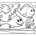 fish coloring page - preschool aquarium coloring pages