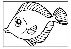 fish colouring pages for preschool
