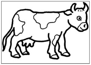 free printablecow coloring pages preschool