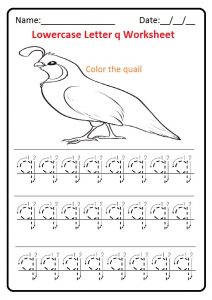 Lowercase letter q tracing worksheet for preschool, kindergarten, 1st grade