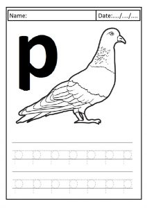 Trace the lowercase letter p is for pigeon printables worksheet for preschool and kindergarten