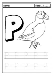 Trace the uppercase letter P is for puffin printables worksheet for preschool and kindergarten