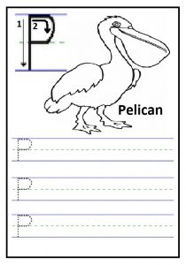 Write the uppercase letter P is for pelican printables worksheet for preschool and kindergarten