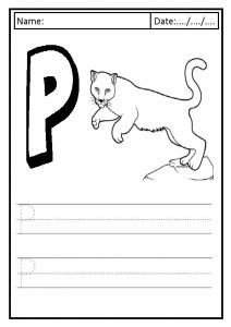 Write the uppercase letter P is for puma printables worksheet for preschool and kindergarten